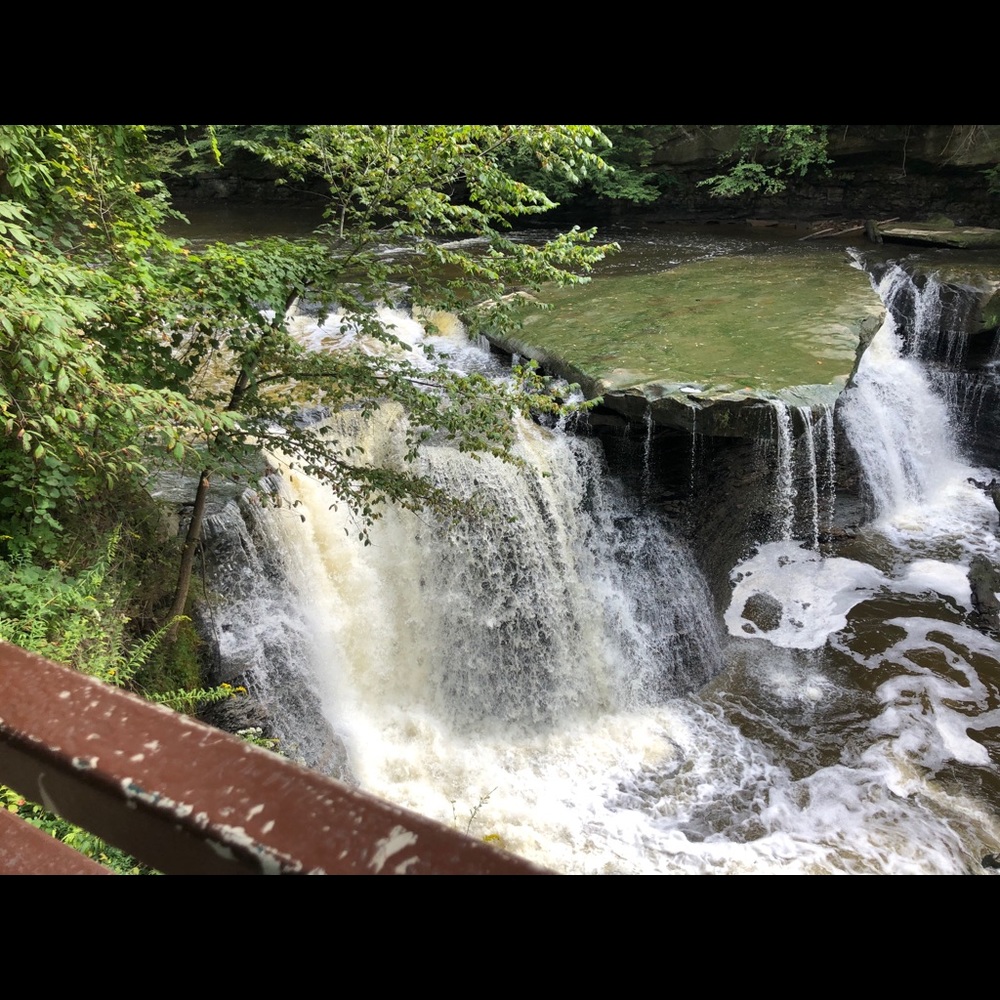 Meet your Posher, Jill